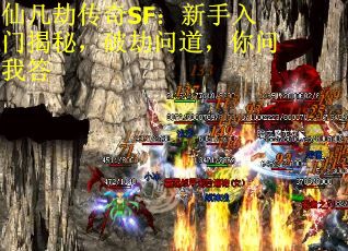 仙凡劫传奇SF：新手入门揭秘，破劫问道，你问我答
