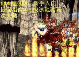 114搜服网：新手入门提问指南——快速驰骋玛法大陆