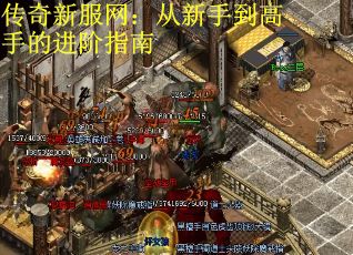 传奇新服网：从新手到高手的进阶指南