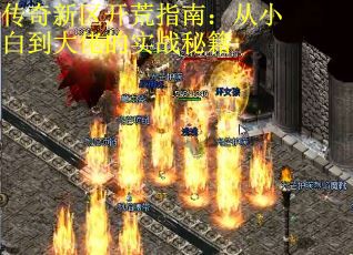 传奇新区开荒指南：从小白到大佬的实战秘籍