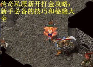 传奇私服新开打金攻略：新手必备的技巧和秘籍大全