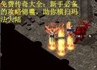 免费传奇大全：新手必备的攻略锦囊，助你横扫玛法大陆