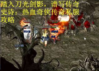 踏入刀光剑影，谱写传奇史诗：热血奇侠传奇私服攻略