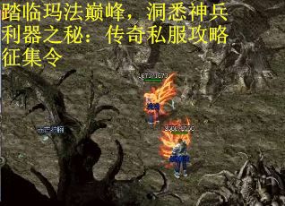 踏临玛法巅峰，洞悉神兵利器之秘：传奇私服攻略征集令