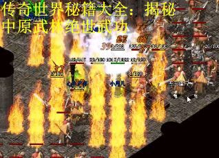 传奇世界秘籍大全：揭秘中原武林绝世武功