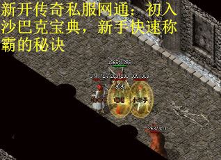 新开传奇私服网通：初入沙巴克宝典，新手快速称霸的秘诀