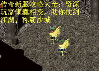 传奇新服攻略大全：资深玩家倾囊相授，助你仗剑江湖，称霸沙城