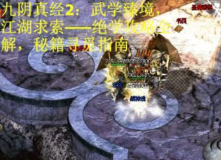 九阴真经2：武学臻境，江湖求索——绝学攻略全解，秘籍寻觅指南