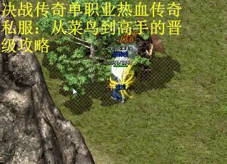 决战传奇单职业热血传奇私服：从菜鸟到高手的晋级攻略