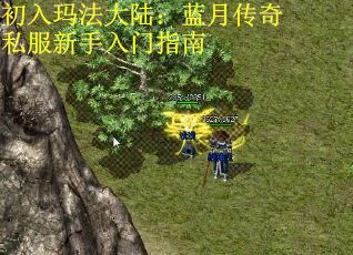 初入玛法大陆：蓝月传奇私服新手入门指南