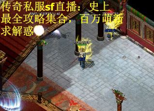 传奇私服sf直播：史上最全攻略集合，百万萌新求解惑