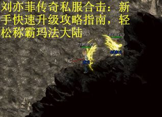 刘亦菲传奇私服合击：新手快速升级攻略指南，轻松称霸玛法大陆