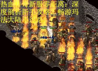 热血传奇新服零距离：深度剖析新手攻略，畅游玛法大陆不迷路