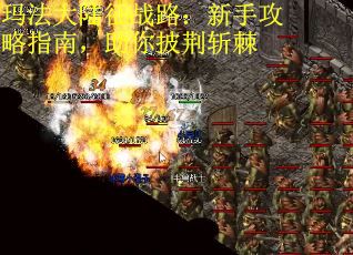 玛法大陆征战路：新手攻略指南，助你披荆斩棘