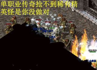 单职业传奇抢不到稀有精英怪是你没做对