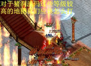 对于猪洞沃玛这些等级较高的地图我们应该怎么打