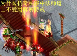 为什么传奇私服中法师道士不爱用麻痹特戒
