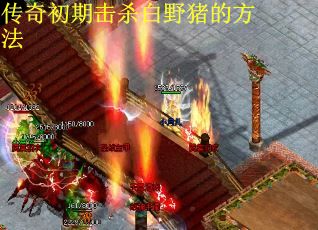传奇初期击杀白野猪的方法