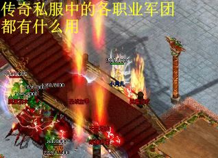 传奇私服中的各职业军团都有什么用