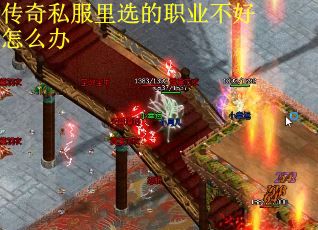 传奇私服里选的职业不好怎么办