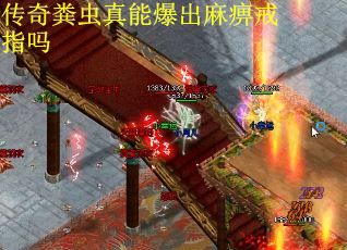 传奇粪虫真能爆出麻痹戒指吗