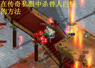在传奇私服中杀兽人巨怪的方法