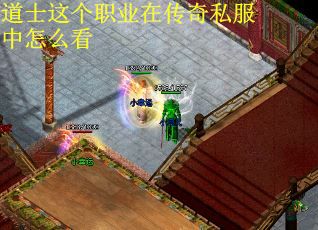 道士这个职业在传奇私服中怎么看