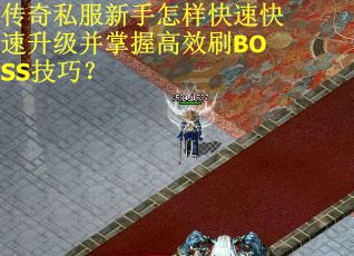 传奇私服新手怎样快速快速升级并掌握高效刷BOSS技巧？