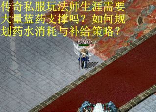 传奇私服玩法师生涯需要大量蓝药支撑吗？如何规划药水消耗与补给策略？