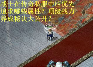 战士在传奇私服中应优先追求哪些属性？顶级战力养成秘诀大公开？