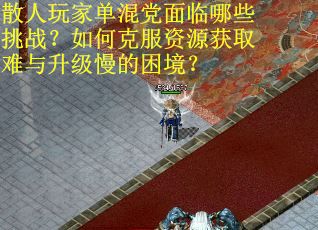 散人玩家单混党面临哪些挑战？如何克服资源获取难与升级慢的困境？