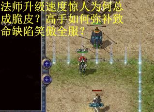 法师升级速度惊人为何总成脆皮？高手如何弥补致命缺陷笑傲全服？