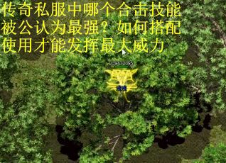 传奇私服中哪个合击技能被公认为最强？如何搭配使用才能发挥最大威力
