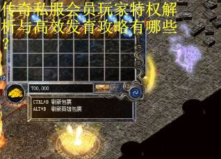 传奇私服会员玩家特权解析与高效发育攻略有哪些？
