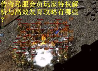 传奇私服会员玩家特权解析与高效发育攻略有哪些？