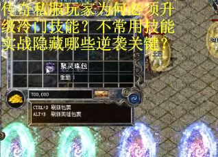 传奇私服玩家为何必须升级冷门技能？不常用技能实战隐藏哪些逆袭关键？