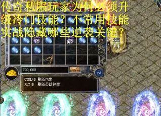 传奇私服玩家为何必须升级冷门技能？不常用技能实战隐藏哪些逆袭关键？