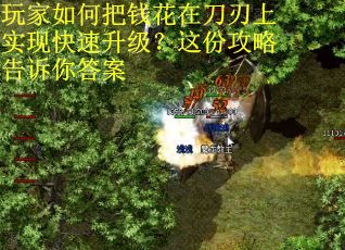 玩家如何把钱花在刀刃上实现快速升级？这份攻略告诉你答案