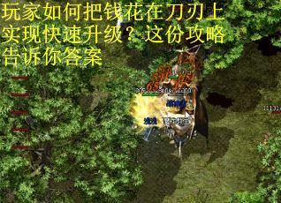 玩家如何把钱花在刀刃上实现快速升级？这份攻略告诉你答案