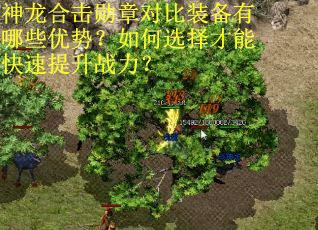 神龙合击勋章对比装备有哪些优势？如何选择才能快速提升战力？