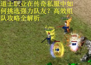 道士职业在传奇私服中如何挑选强力队友？高效组队攻略全解析