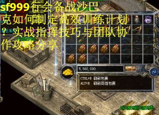 sf999行会备战沙巴克如何制定高效训练计划？实战指挥技巧与团队协作攻略分享