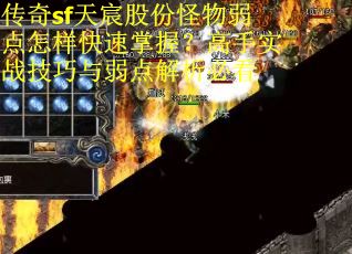 传奇sf天宸股份怪物弱点怎样快速掌握？高手实战技巧与弱点解析必看