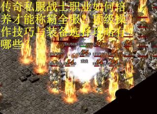 传奇私服战士职业如何培养才能称霸全服？顶级操作技巧与装备选择攻略有哪些？