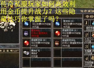 传奇私服玩家如何高效利用金币提升战力？这些隐藏技巧你掌握了吗？