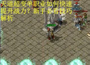 天道超变单职业如何快速提升战力？新手必看技巧解析