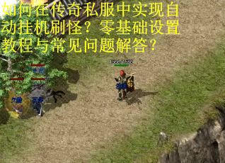 如何在传奇私服中实现自动挂机刷怪？零基础设置教程与常见问题解答？