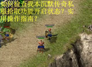如何检查我本沉默传奇私服拾取功能开启状态？实用操作指南？