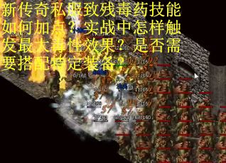 新传奇私服致残毒药技能如何加点？实战中怎样触发最大毒性效果？是否需要搭配特定装备？