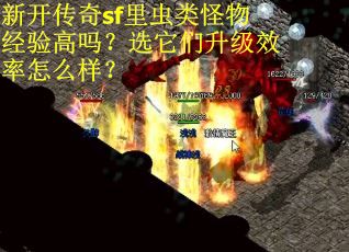 新开传奇sf里虫类怪物经验高吗？选它们升级效率怎么样？